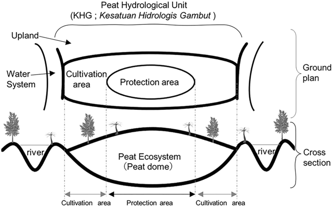 A diagram for peat hydrological unit. The cross-section is divided into cultivation areas and protected areas in the peat ecosystem. The ground plan includes the cultivation area and the protection area inside it. The water system and upland are marked.