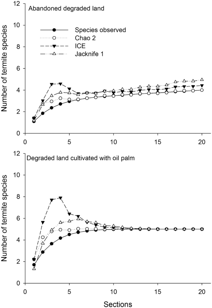 A set of 2 graphs of the number of termite species versus sections of abandoned degraded land and degraded land cultivated with oil palm. 4 plots represent species observed, chao 2, I C E, and jackknife 1. All plot has increasing trends at the begins then remain constant.