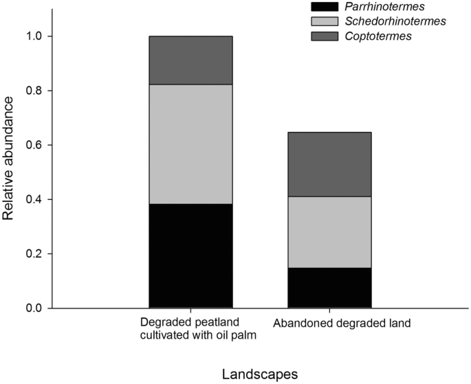 A stack bar graph plots relative abundance versus landscapes. 3 plot represents Parrihnotermes, Schedorhinotermes, and Coptotermes for degraded peatland cultivated with oil palm and abandoned degraded land. Degraded peatland cultivated with oil palm has the highest values.