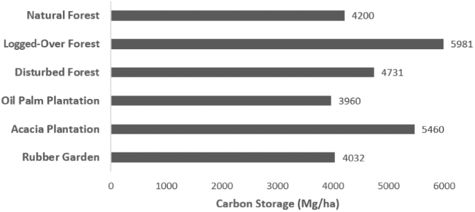 A bar chart of carbon storage includes natural forests, logged-over forests, distributed forests, oil palm plantations, acacia plantations, and rubber gardens. The highest storage is logged over forests.