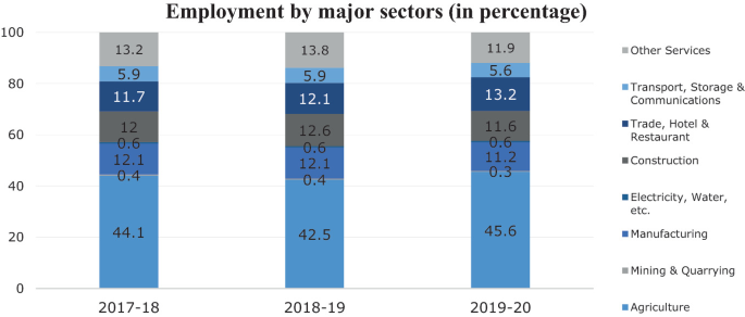 A stacked bar graph of employment by major sectors. The values are as follows. Agriculture. 2017 to 18, 44.1. 2018 to 19, 42.5. 2019 to 20, 45.6. Other services. 2017 to 18, 13.2. 2018 to 19, 13.8. 2019 to 20, 11.9. Trade, Hotel and Restaurant. 2017 to 18, 11.7. 2018 to 19, 12.1. 2019 to 20, 13.2.