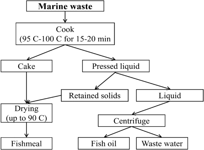 Marine waste classifies into cook for 15 to 20 minutes. Cook further classifies into cake and pressed liquid. The pressed liquid is classified as either solids or liquid. The centrifuge produces fish oil and wastewater. The cake leads to drying up to 90 C which further leads to fishmeal.