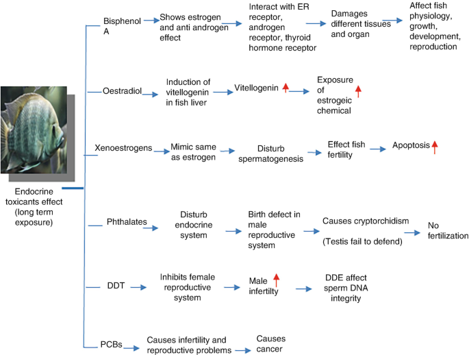 Cetaceans as Bioindicators to Assess Alkylphenol Exposure and