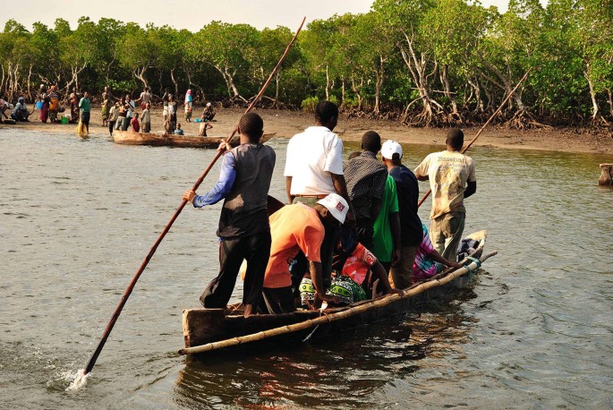 A photograph of people standing and sitting on a propelling boat in the river with grove trees on the shore. Men at the back and front of the boat have oars.