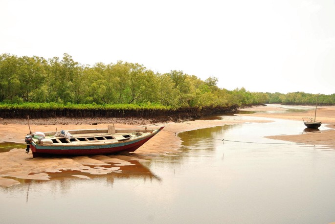 A photograph of a river with a fishing boat anchored on the floodplain with a grove of trees in the background.