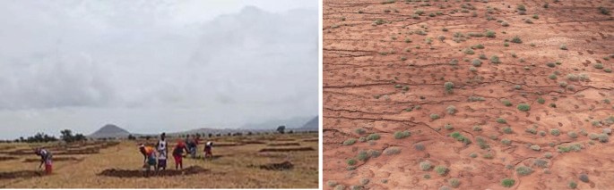 The photo on the left is of a group of people doing restoration activities on a barren land. The photo on the right is a close-up photo of the construction of bunds.