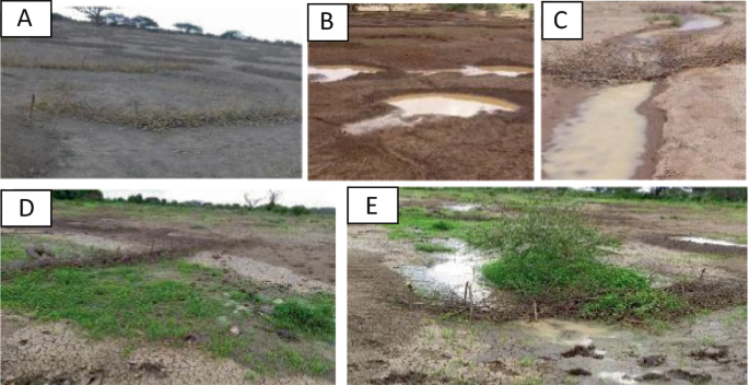 5 sets of photographs a) are the bunds constructed with local material barriers, b) is the water in the bunds stored, c) is the formation of the gully, d) and e) is the regeneration of grass.
