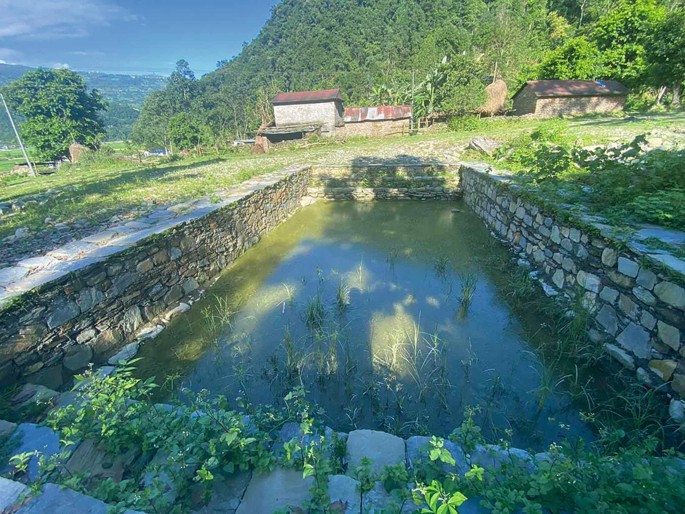 A photograph of the constructed pond where small plants are grown amidst a forest. Rural houses are observed in the background.