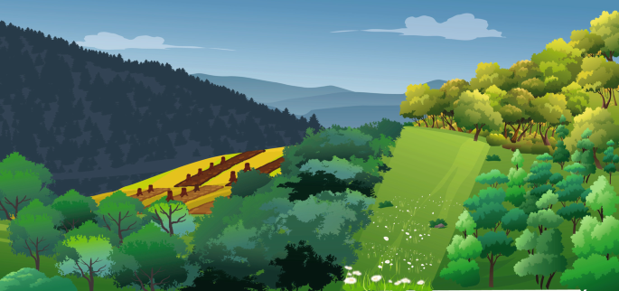 An illustration of a landscape. There are rows of tall trees to the right and center. On the left is a plain that has rows of wooden logs left after cutting tree tops. Hills are on the left and in the background, with a clear sky.