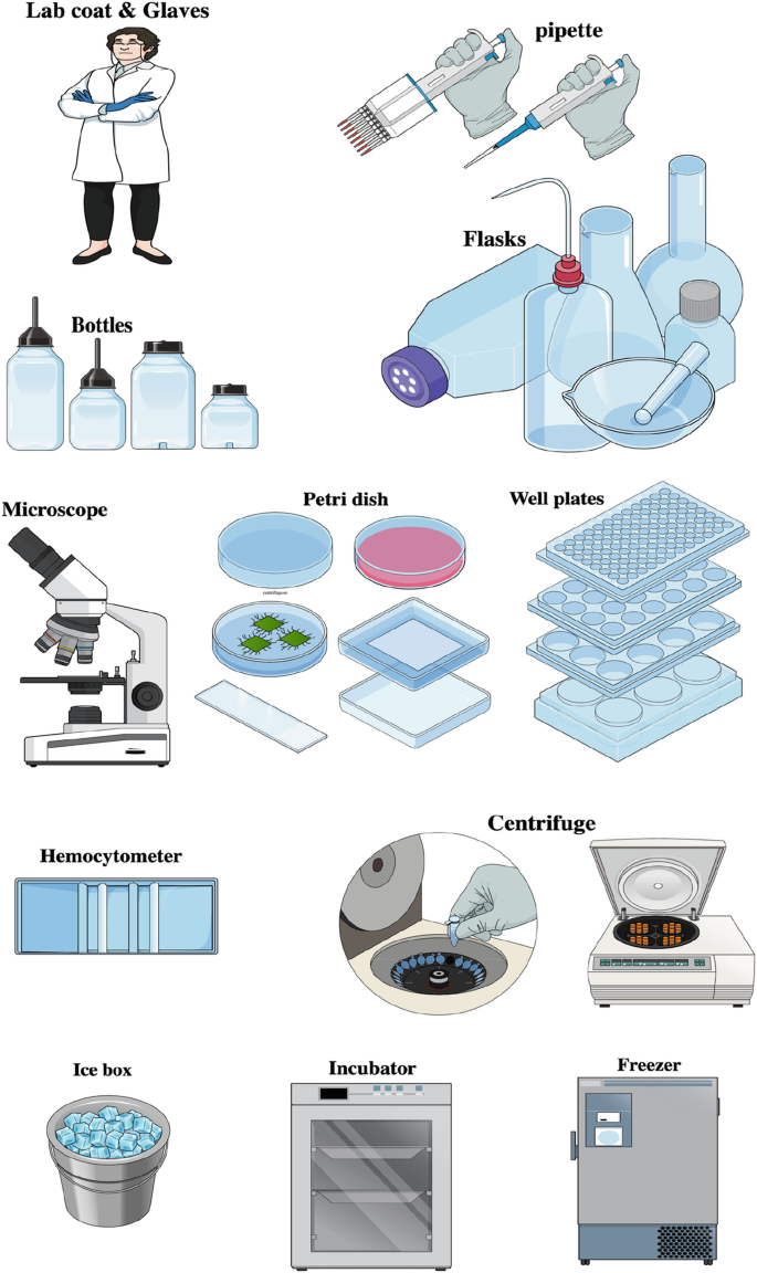 Cell Culture Basics: Equipment, Fundamentals and Protocols