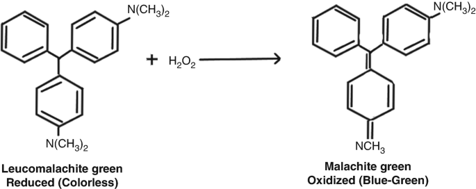 A chemical reaction of a dye. The reduced form of leucomalachite green which is colorless reacts with hydrogen peroxide, to form oxidized malachite green, which gives the solution a blue-green color.