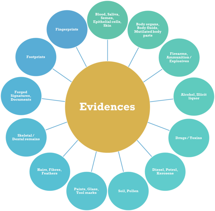 A radial diagram presents the evidence. Clockwise, some of them are blood, saliva, semen, epithelial cells, drugs or toxins, soil, pollen, hairs, fibers, and footprints and fingerprints.