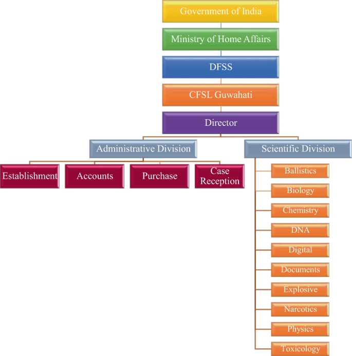 A hierarchical structure of C F S L, Guwahati. The sequence is Government of India, Ministry of Home Affairs, D F S S, C F S L Guwahati, and Director with 2 divisions. 1. Administrative with the establishment, accounts, purchase, and case reception. 2. Scientific with 10 sub-divisions.