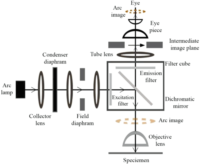 Optical filter - Wikipedia