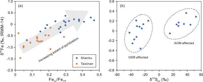 A scatter and cluster plots of delta superscript 56 F e versus f e subscript p y by F e subscript h r. a. The plots are distributed in an increasing trend indicated by the diagonal arrow. b. 2 clusters for O S R and A C M affected. The A C M affected plot has the highest value at around (55, 0.35).