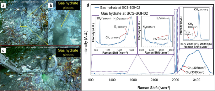 3 photos and a graph. 3 photos of a to c display the seafloor and highlight pieces of gas hydrate. d plots intensity versus Raman Shift. A line follows an increasing and decreasing fluctuating trends. 3 inserts of increasing portions of the line. 1, H subscript 2 O has the highest at 1630. 2, H subscript 2 S has the highest at 2585. 3, C H subscript 4 has the highest 2917.