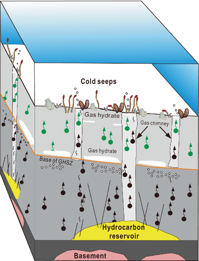 A diagram for the linkage between the hydrates and seeps at the surface. The layers from bottom to top are the basement, hydrocarbon reservoir, and base of G H S Z. The gas hydrates travel through gas chimneys and turn into cold seeps at the seabed.