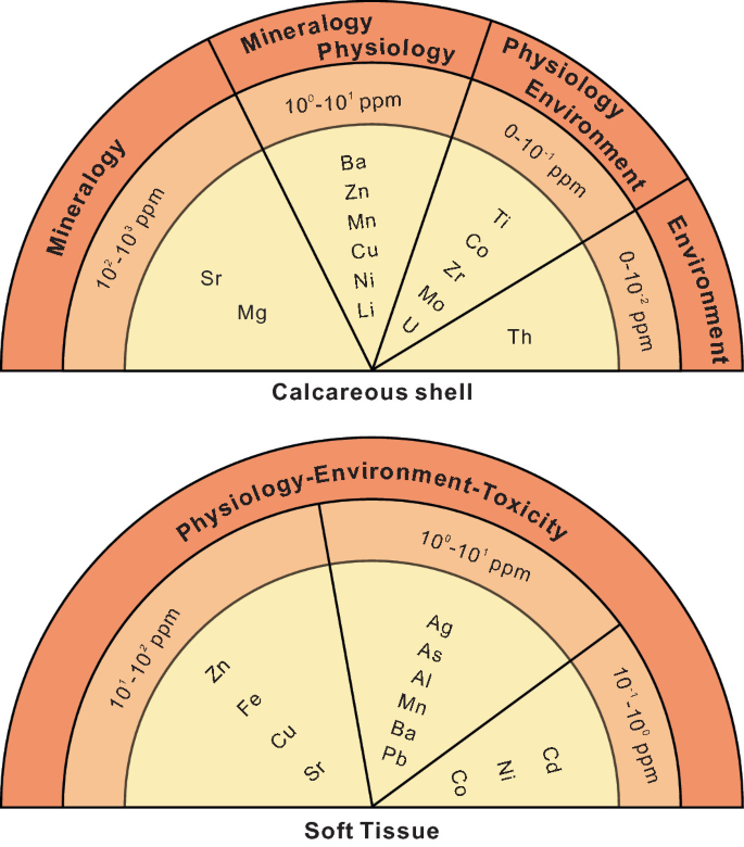 A set of two diagrams for general overview of trace elements in the shell and soft tissue of seep bivalves. Calcareous shell has S r and M g for mineralogy, B a, Z n, M n, C u, N i, and L i for mineralogy physiology, T i C o, Z r, M o, and U for physiology environment, and T h for environment. Soft tissue has Z n, F e, C u, S r, A g, A s, A l, M n, B a, P b, C d, N i, and C o for physiology-environment-toxicity.