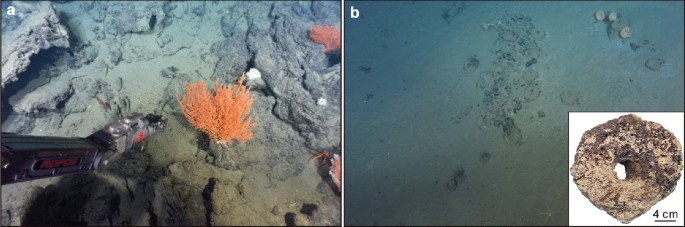 2 photos of seep manifestations, a and b. A has large rock-like carbonate structures on the seafloor. The arm of the apparatus is visible on the left. B has two photos. The first photo has circular prints on the seafloor. The second inset photo is of a donut-shaped underwater rock.