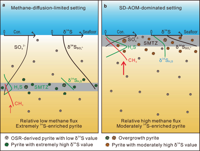 A set of 2 diagrams, a and b, for the variable sulfur isotope composition of pyrite at methane seeps. A is for methane-diffusion-limited setting. The base has relatively low methane flux and extremely 34 S-enriched pyrite. B is for S D-A O M-dominated setting. The base has relatively high methane flux and moderately 34 S enriched pyrite.