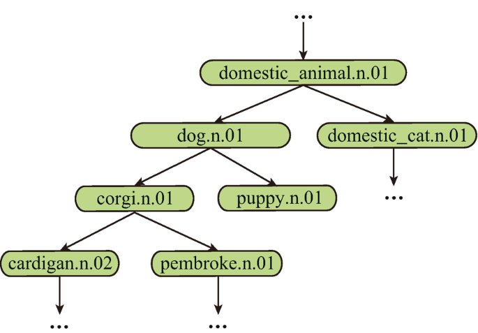 A wordnet explains the hypernyms and hyponyms of dog. Beginning with domestic underscore animal dot n dot 01 divides into dog dot n dot 01 and domestic underscore cat dot n dot 01. Dog dot n dot 01 divides into corgi dot n dot 01 and puppy dot n dot 01.