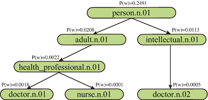 A wordnet starts with the person dot n dot 01 divides into adult dot n dot 01 and intellectual dot n dot 01. Adult dot n dot 01 divides into health underscore professional dot n dot 01, and ends with doctor dot n dot 01 and nurse dot n dot 01.
