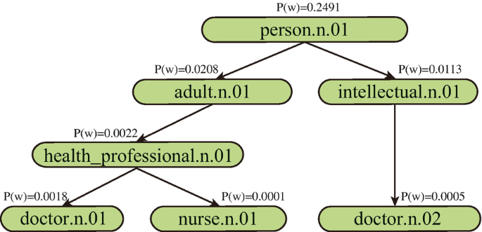 representation words related A wordnet starts with the person dot n dot 01 divides into adult dot n dot 01 and intellectual dot n dot 01. Adult dot n dot 01 divides into health underscore professional dot n dot 01, and ends with doctor dot n dot 01 and nurse dot n dot 01.
