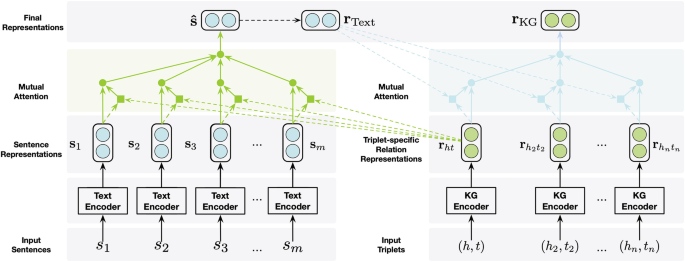 A flow diagram is divided into sections of input sentences, input triplets, sentence representations, triplet-specific relation representations, mutual attention, and final representations. They have variables connected via text and K G encoders that give a final variable via mutual attention.
