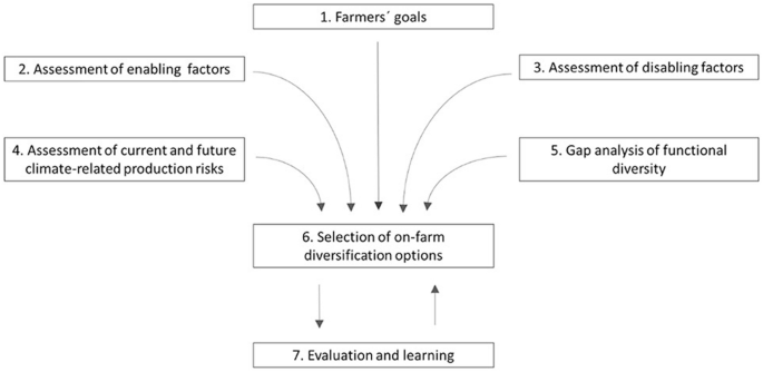 A flow diagram. 5 text boxes for farmers' goals, assessment of enabling and disabling factors, assessment of current and future climate-related production risks, and gap analysis of functional diversity lead to the selection of on-farm diversifications. It further leads to evaluation and learning.