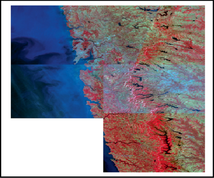 A mosaic satellite image traces the geographical area of a certain coastal location, in a gradient of colors.