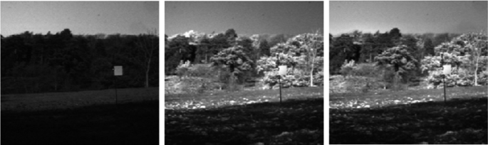 3 photos of a setting with tall trees in the background. The leftmost photo is darkly shaded, while the center and the rightmost photos are lightly shaded.