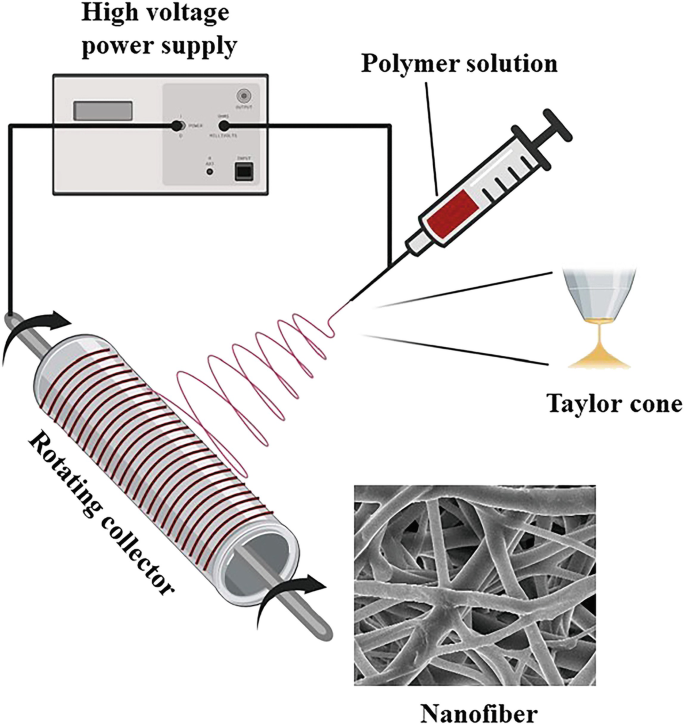 A schematic exhibits an experimental setup for electrospinning to produce nanofibers. The high voltage power supply is connected to the needle with the polymer solution and rotating collector. The polymer solution is injected into the collector in the form of a Taylor cone to create nanofibers.