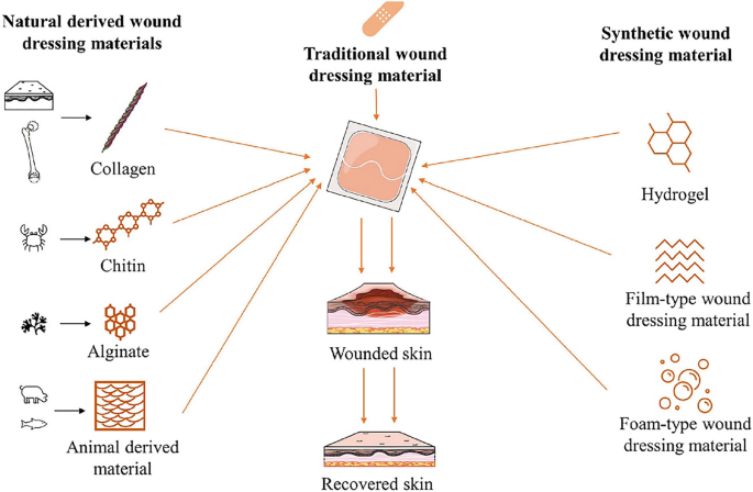 A Comprehensive Review on Natural Therapeutics for Wound Treatment |  Regenerative Engineering and Translational Medicine