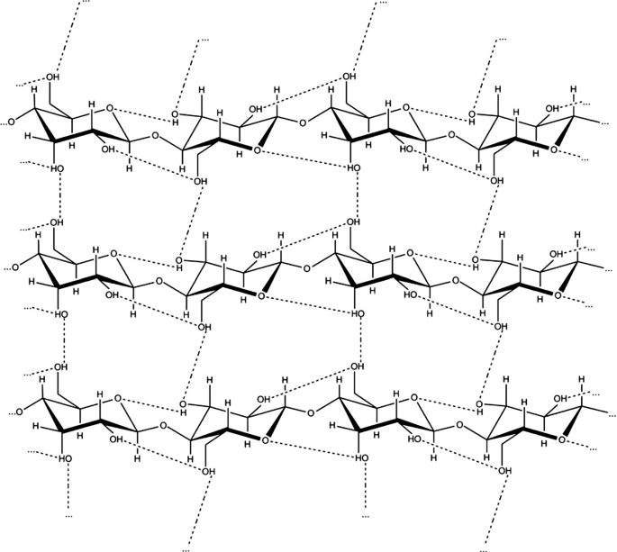 A line chemical structure of cellulose with chains of beta D glucose in chair conformations.