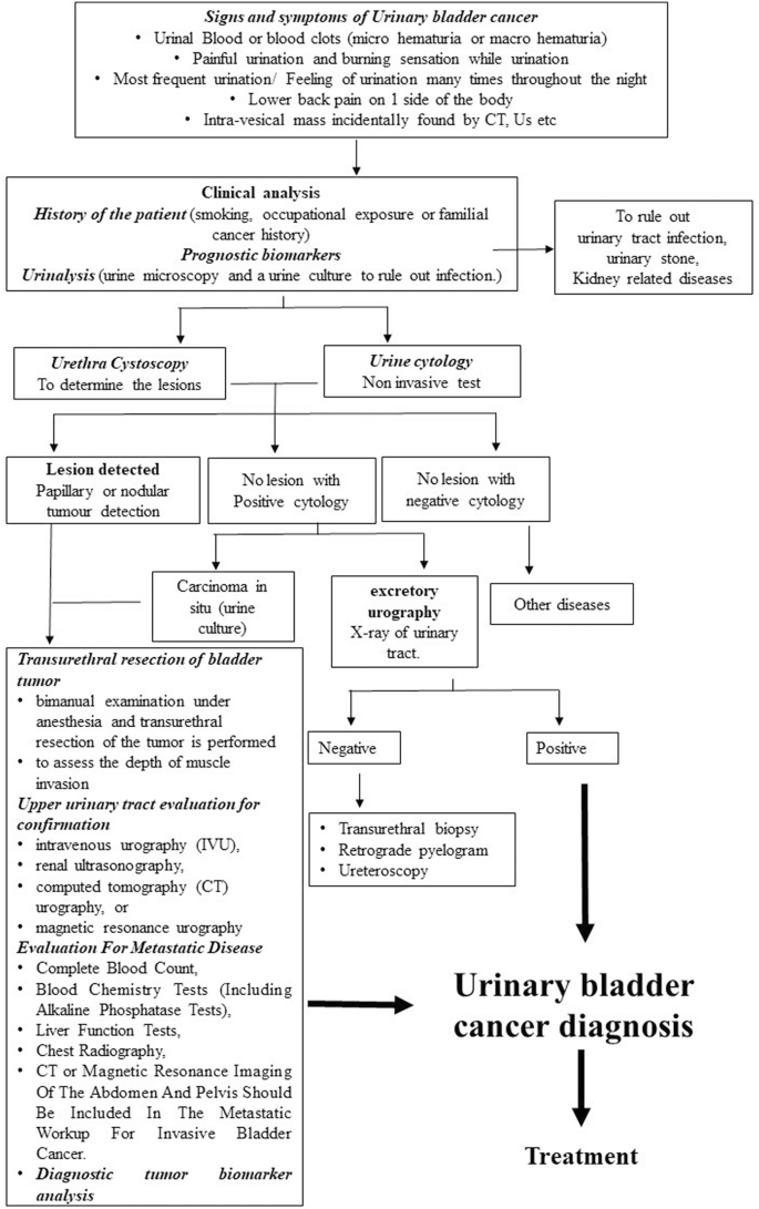 Diagnostic Biomarkers of Urinary Bladder Cancer and Their Applications ...