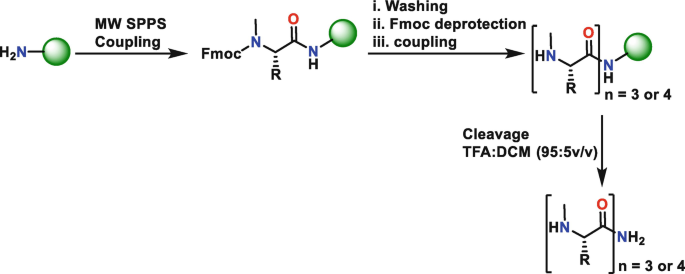 A schematic presents the formation of N-methylated peptides via following M W S P P S coupling, washing, F m o c de-protection, coupling, and cleavage.