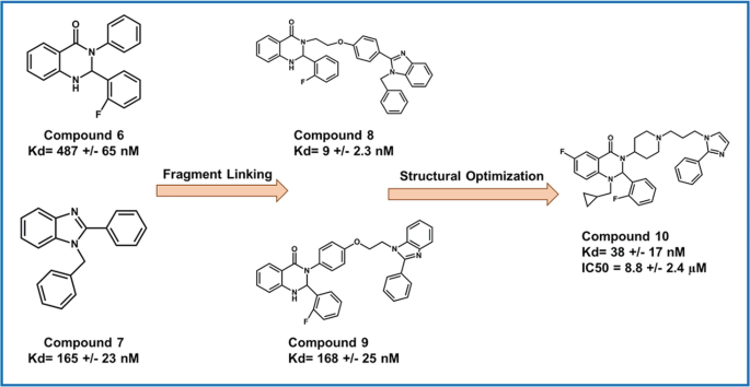 Small-Molecule Inhibitors of Protein–Protein Interactions as Therapeutics | SpringerLink small-molecule-inhibitors-of-protein-protein-interactions-as-therapeutics-springerlink