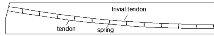 A schematic diagram depicts the modeling details for unbonded P T tendons. It presents a descending layer. The labeled components are tendon, spring, and trivial tendon.