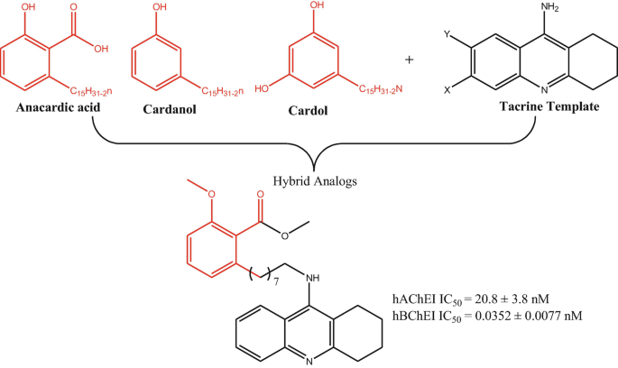 Chemical structures of hybrid analogs comprise anacardic acid, cardanol, cardol added to tacrine template to form a molecular structure where h A C h E I I C subscript 50 = 20.8 positive negative 3.8 n M and n B C h E I I C subscript 50 = 0.0352 positive negative 0.0077 n M.