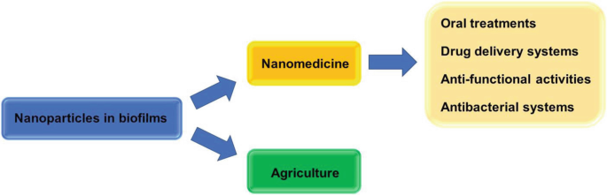 A chart exhibits the nanoparticle applications in biofilms. It is widely used in nanomedicine and agriculture. Nanomedicine includes oral treatments, drug delivery systems, anti-functional activities, and antibacterial systems.