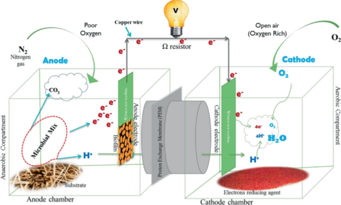 MEEP - Microbial/Enzymatic Electrochemistry Platform: 2025 : European Fuel  Cell Forum