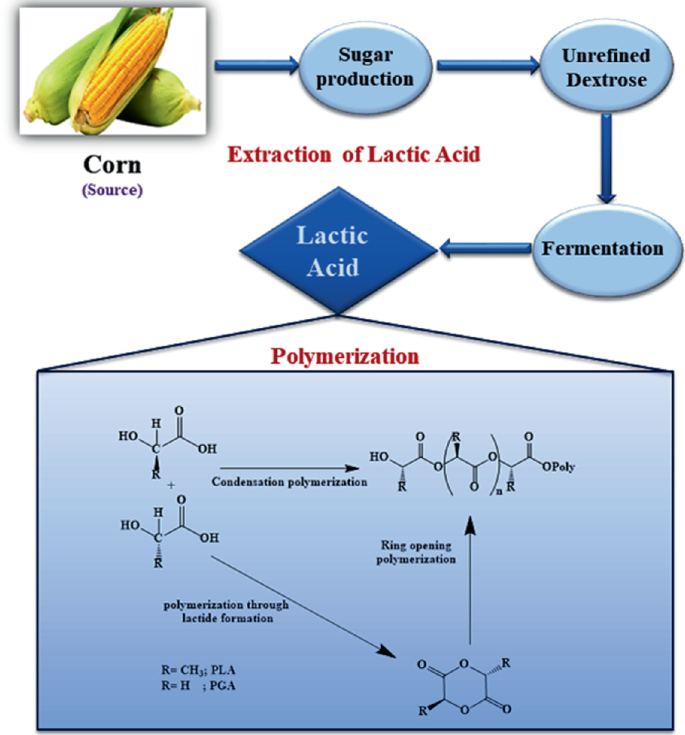 A flow diagram of an industrial process. The process of extraction of lactic acid from corn leads to sugar production, unrefined dextrose, fermentation, and lactic acid, which then leads to the process of polymerization.