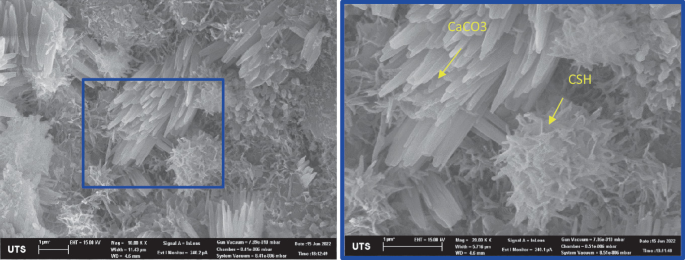 Two scanning electron microscopy images indicate the porous microstructure and the presence of C a C O 3 and C S H.