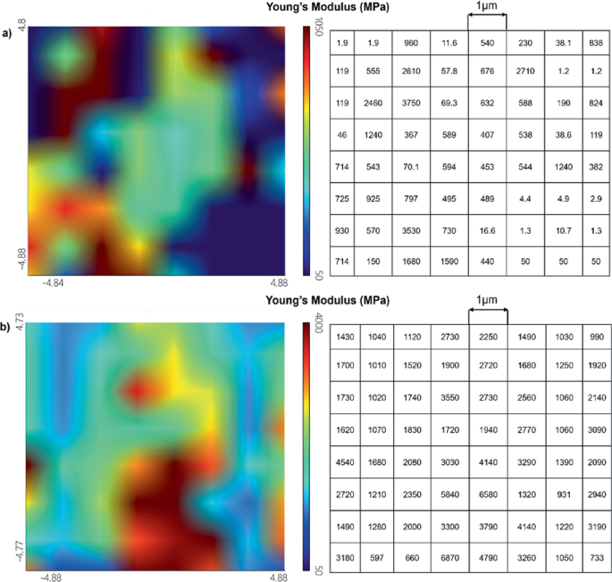 A two-part illustration depicts the topographic image and a grid with varying values for Young's modulus of P E I specimens. The values are 50 to 1050 and 50 to 4000, respectively.