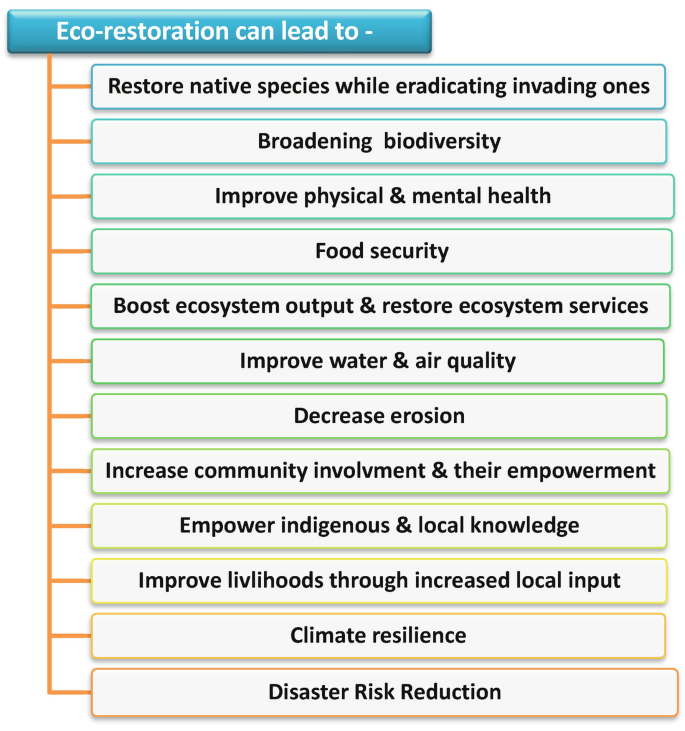 An illustration. It has a labeled block branching into 12 labeled blocks. The initial block reads eco-restoration can lead to. Some of the 12 blocks are restore native species, broadening biodiversity, improve health, food security, boost ecosystem output, and improve water and air quality.