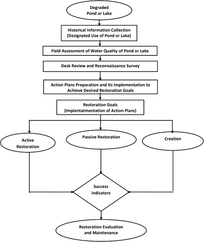 A flowchart depicts the restoration process of a degraded pond or lake. It involves historical data collection, water quality assessment, desk review, reconnaissance survey, implementation of an action plan for achieving restoration goals, defining success indicators, and evaluation and maintenance.