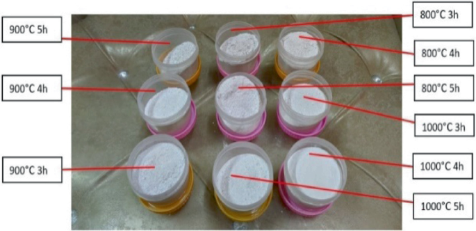 A photograph of several snail shells calcinated at different temperatures. The temperature varies between 800, 900, and 1000 degrees Celsius. The time varies between 3, 4, and 5 hours.