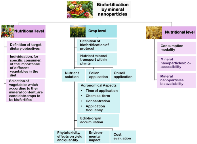 Nutrition - Sinapi Biomedical