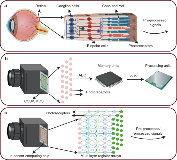 Three blocks A, B, and C of in-sensor computing, a machine vision system, and multi-layer register arrays. A depicts a diagram of an eye with retina, ganglion cells, and photoreceptors.