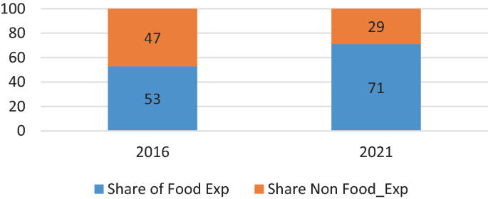 A stacked bar graph compares the percentage changes in the share of food and non-food consumption expenditure versus the years 2016 and 2021. The share of food consumption expenditure rises from 53% in 2016 to 71% in 2021, while non-food consumption expenditure declines from 47% to 29% in 2021.